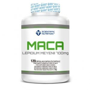 MACA